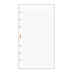 Finocam C940 Recambio para Agendas Classic - Cuadriculado - Formato 609 - 94x171x5mm - Color Blanco