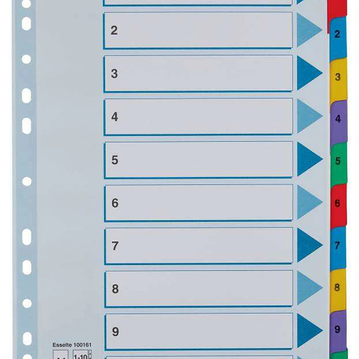 Esselte Indice de Carton con Pestañas Reforzadas - A4 - Numeradas 1-10 - Multicolor 1