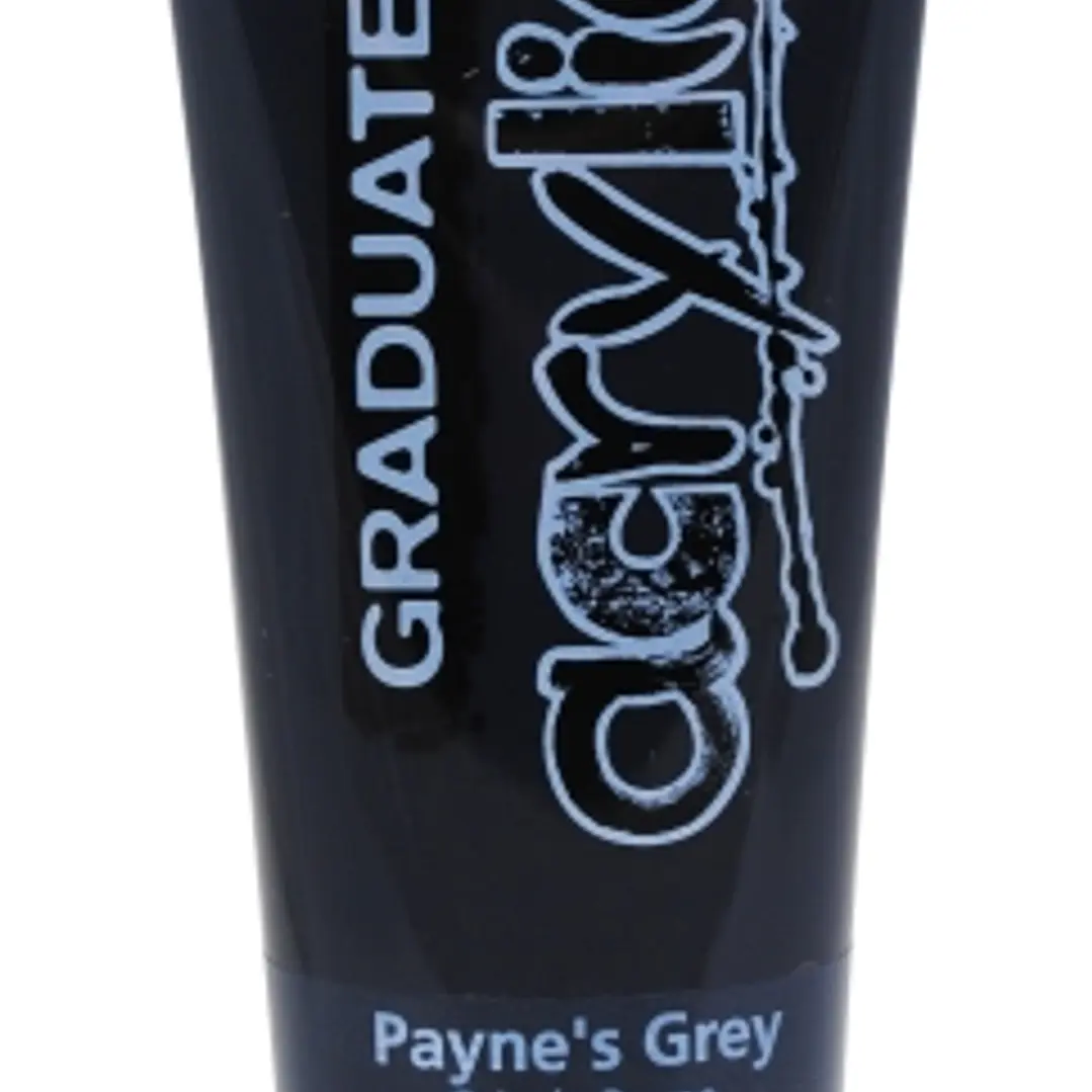 Daler Rowney Graduate Pintura Acrilica - Tubo de Plastico - 120ml - Color Gris de Payne 1