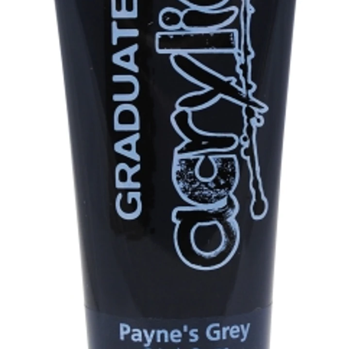 Daler Rowney Graduate Pintura Acrilica - Tubo de Plastico - 120ml - Color Gris de Payne 1