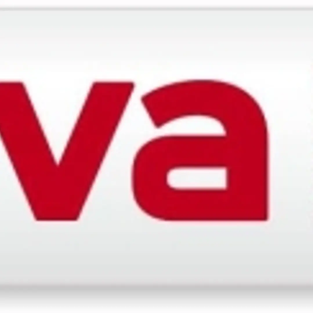 Molin Viva Rotulador para Pizarra Blanca - Punta Redonda de Fibra Sintetica - Trazo 3mm - Tinta con Base de Alcohol - Color Rojo 1