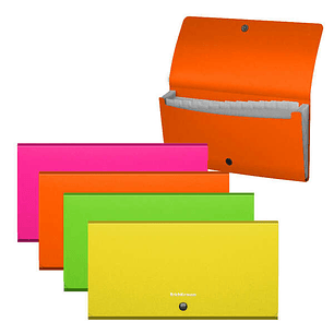 Erichkrause Clasificadores Matt Neon - 12 Fundas - Tamaño Cheque - Colores Surtidos