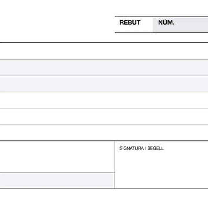 Apli Talonario Recibo 1/3 Apaisado Duplicado A-60 - Papel Autocopiativo - Numeracion Secuencial - 3 Copias - Blanco 1