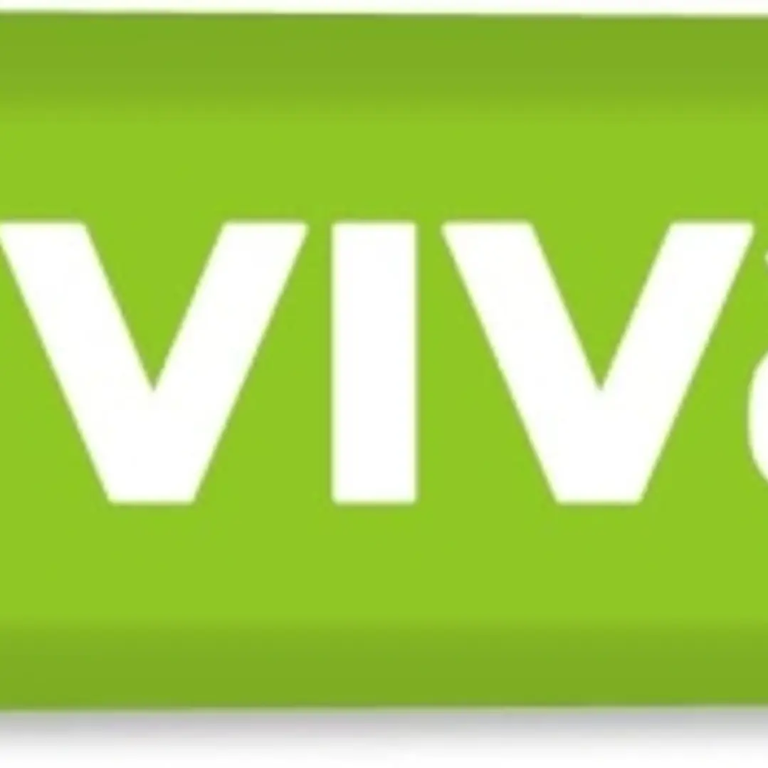 Molin Viva Marcador Fluorescente - Trazo entre 1 y 5mm - Tinta con Base de Agua - Color Verde 1