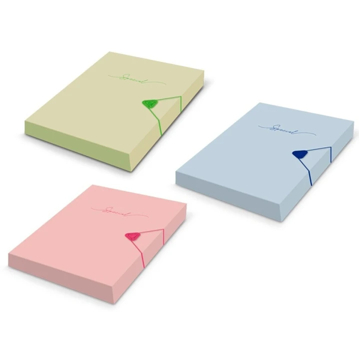 Bismark Carpeta para Proyectos A4 - Medidas 310x230x40mm - Fabricada en Polipropileno - Cierre con Goma - Colores Pastel Surtidos 1