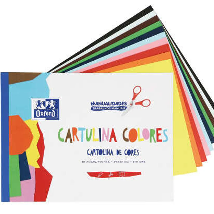 Oxford Bloc Encolado de 10 Cartulinas de Colores Formato A4+ 170gr - Colores Surtidos 1