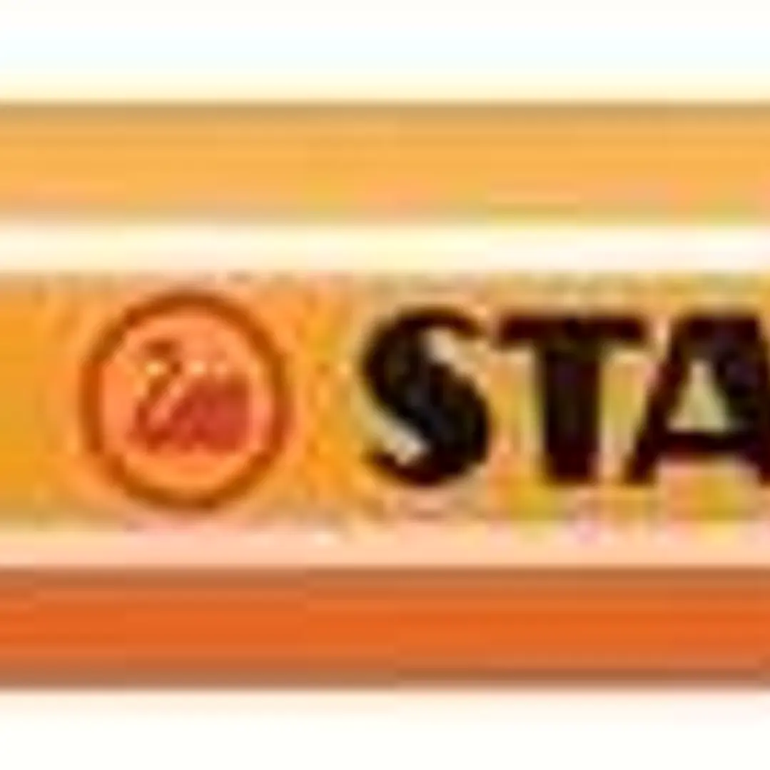 Stabilo Point 88 Rotulador de Punta Fina de Fibra - Trazo de 0.4 mm - Tinta con Base de Agua - Color Gris Intenso 1