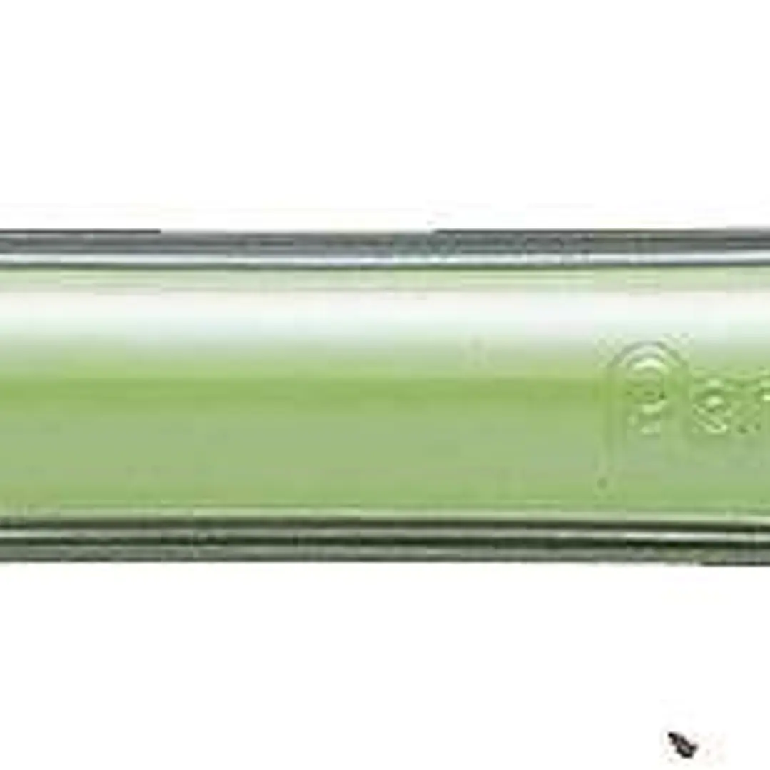 Pentel Fiesta II Portaminas HB 0.5mm con Goma - Incluye 2 Recargas - Grip de Goma - Diseño Ergonomico - Color Verde 1
