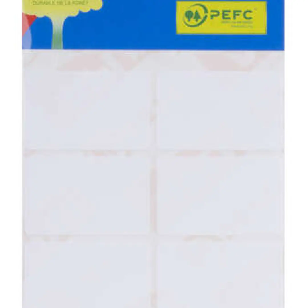 Apli Pack de 48 Etiquetas Rectangulares 25x40mm - 6 Hojas por 8 Etiquetas - Adhesivo Permanente - Cantos Romos - Aptas para Escritura Manual - Color B 1