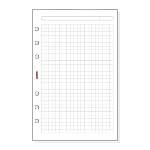 Finocam R540 Recambio para Agendas Open - Cuadriculado - Formato 500 - 117x5x181mm - Color Blanco