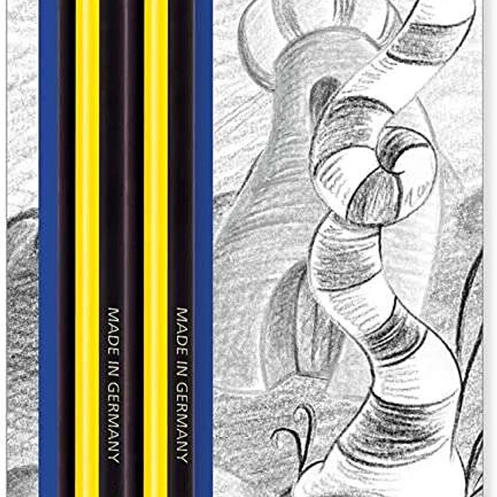 Staedtler Noris Jumbo 119 Pack de 2 Lapices de Grafito Jumbo Triangulares - Mina HB de 4mm - Madera de Bosques Sostenibles 1