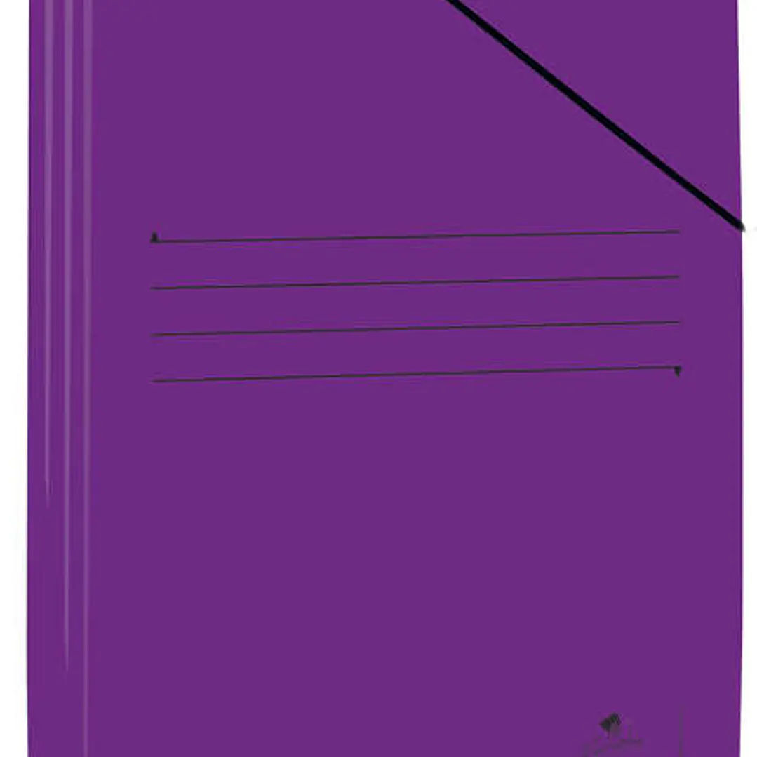 Mariola Carpeta de Carton Plastificado Folio 500gr/m2 - Medidas 34x25cm - Cierre con Goma Elastica - Color Violeta 1