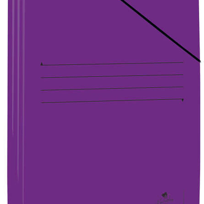 Mariola Carpeta de Carton Plastificado Folio 500gr/m2 - Medidas 34x25cm - Cierre con Goma Elastica - Color Violeta 1