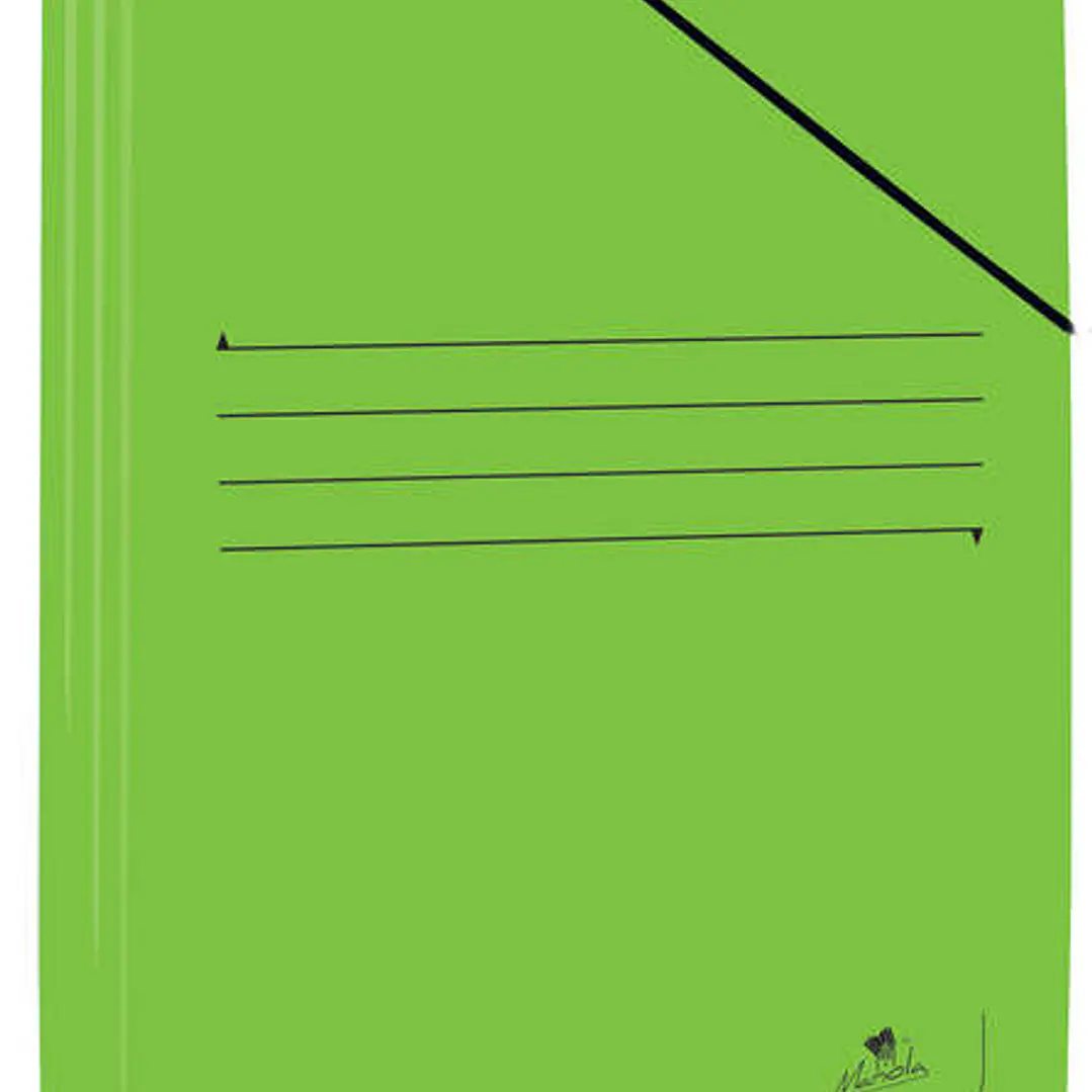 Mariola Carpeta de Carton Plastificado Folio 500gr/m2 - Medidas 34x25cm - Cierre con Goma Elastica - Color Verde 1