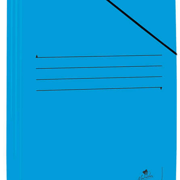Mariola Carpeta de Carton Plastificado Folio 500gr/m2 - Medidas 34x25cm - Cierre con Goma Elastica - Color Azul 1