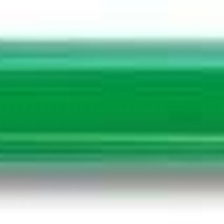 Pilot Color Eno H-197 Portaminas 0.7mm - Grip de Goma - Goma de Borrar - Mina de Color Verde 1