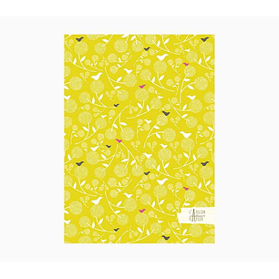 Pictura Cuaderno A5 - 15x21cm - 48 Paginas con Lineas - Papel Certificado FSC