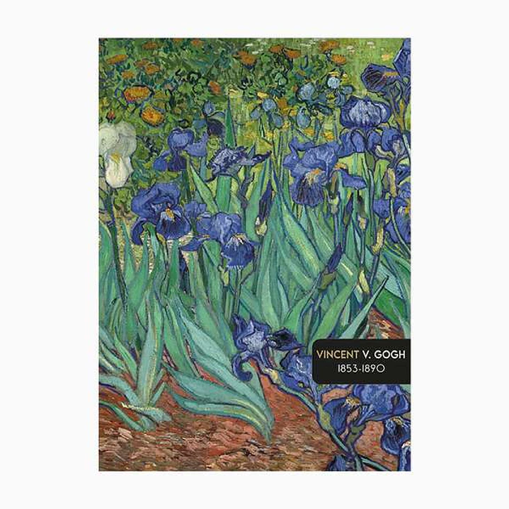 Pictura Cuaderno A5 - 15x21cm - 48 Paginas con Lineas - Papel Certificado FSC 1