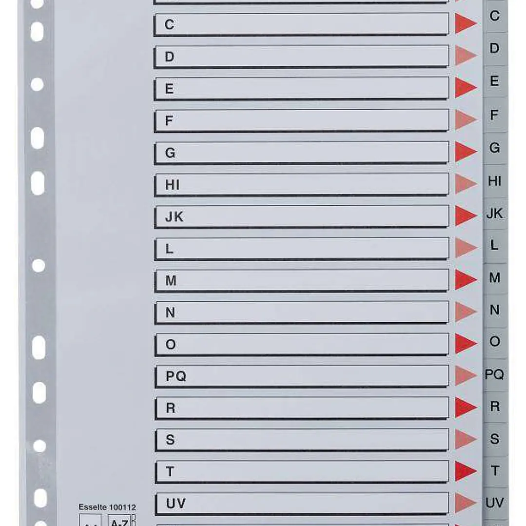 Esselte Indice Abecedario de Plastico con Caratula A4 - Tipo A-Z - Cartulina Indice: Carton Gris - Material PP - Tamaño A4 - Multitaladro - Presentaci 1