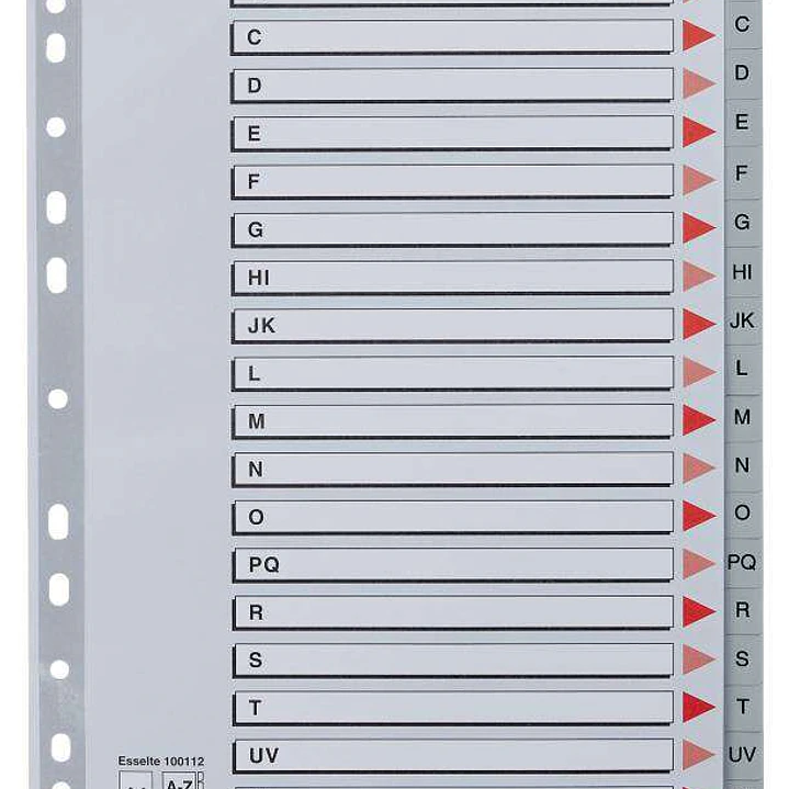 Esselte Indice Abecedario de Plastico con Caratula A4 - Tipo A-Z - Cartulina Indice: Carton Gris - Material PP - Tamaño A4 - Multitaladro - Presentaci 1