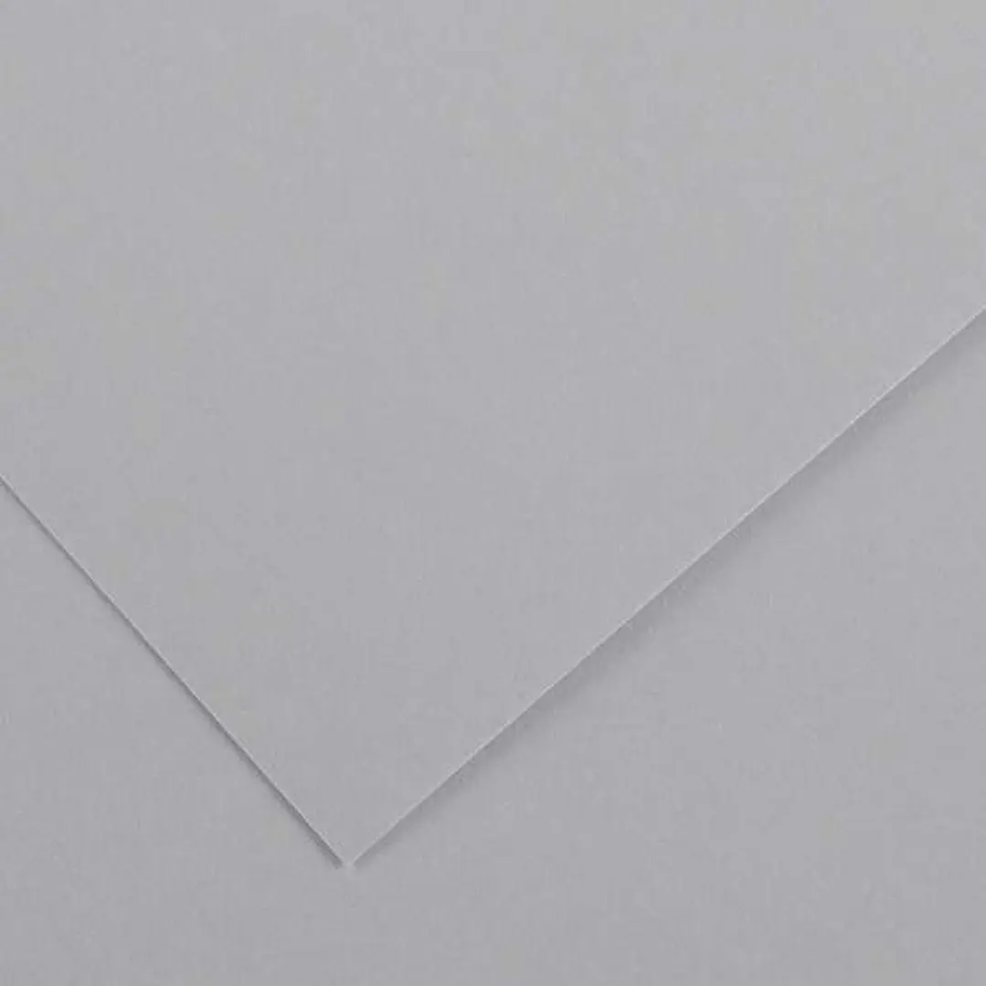 Canson Guarro Pack de 25 Cartulinas Iris de 185g - 50x65cm - Color Gris Perla 1