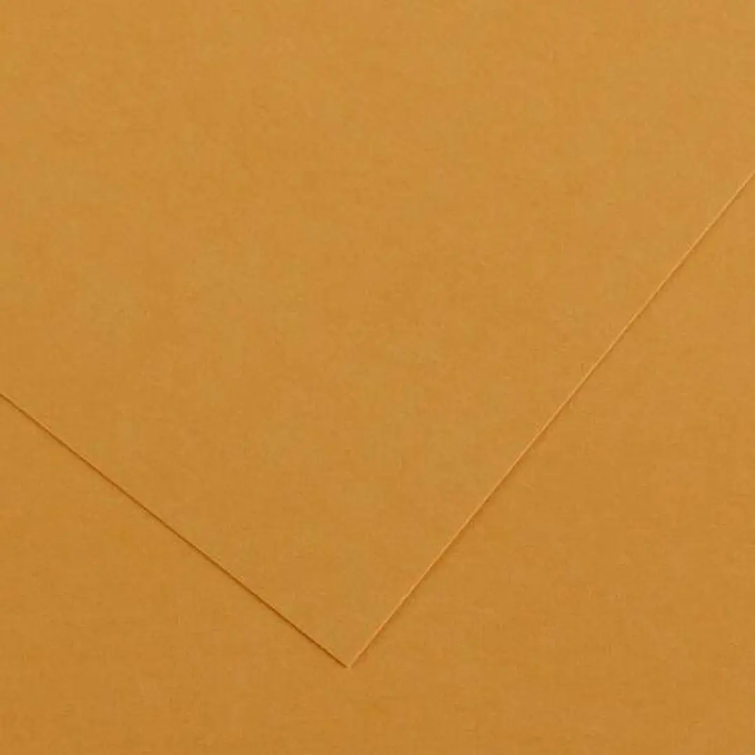 Canson Guarro Pack de 25 Cartulinas Iris de 185g - 50x65cm - Color Cuero 1