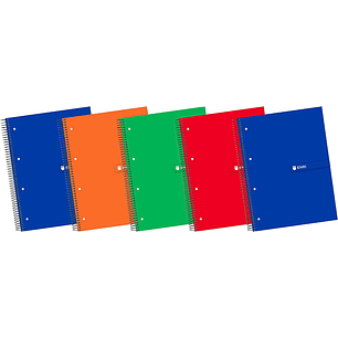 Enri Plus Cuaderno Espiral Formato A4+ Cuadriculado 5x5mm - 120 Hojas + 40 Gratis Microperforadas - Cubierta Extradura - Colores Surtidos