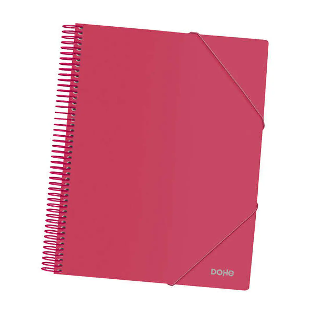 Dohe Carpeta con 30 Fundas Tamaño A4 - Tapa de Polipropileno Opaco 800 Micras - Fundas Transparentes 80 Micras - Espiral de Plastico Color - Gomas Ela 1