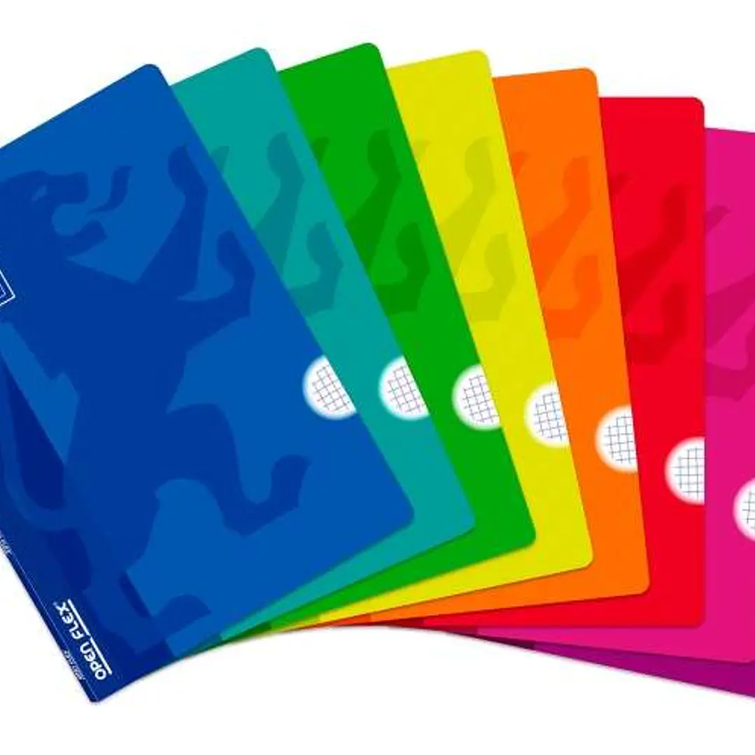 Oxford Openflex Libreta Grapada Formato A4 Cuadriculado 4x4mm - 48 Hojas con Margen - Tapa de Plastico - Colores Surtidos 1