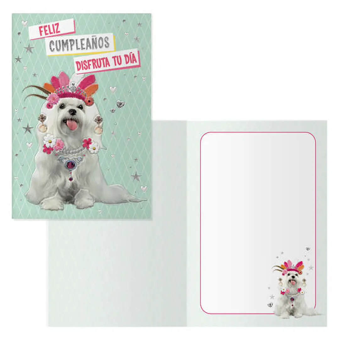 Dohe Pack de 6 Tarjetas de Felicitacion de Cumpleaños - 11.5x17cm - Impresion a Todo Color - Estampaciones con Pelicula de Color - Papel Offset Blanco 1
