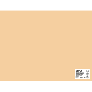 Apli Cartulina Salmon 50 x 65mm 170g 25 Hojas