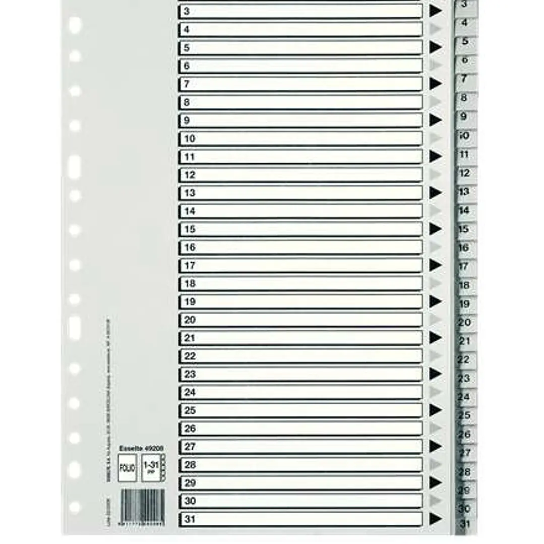 Esselte Bolsa de 25 Indices Numericos de Plastico - Pestañas 1 al 31 - Multitaladro - Formato Folio - Color Gris 1