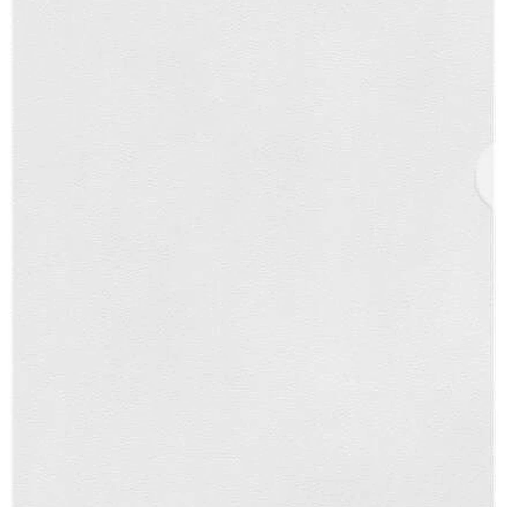 Esselte Caja de 100 Dossiers Uñero Formato A4 - Lamina de PP Piel de Naranja - Grosor 0.11mm 1