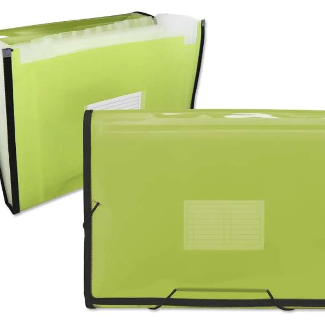Ingraf Carpeta Frame Fuelle 13 Departamentos Tamaño A4 - Polipropileno Translucido - Gomas y Solapas - Color Verde 1