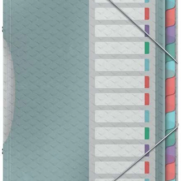 Esselte Colour'Breeze Clasificador con 12 Pestañas Multicolor - Para Formato A4 - 3 Solapas en la Contraportada - Polpropileno en Relieve - Cierre con 1