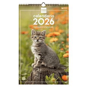 Finocam Calendario de Pared - Anual 2026 - Imagenes Variadas - con Espiral - Espacio para Escribir - Tematica de Gatos
