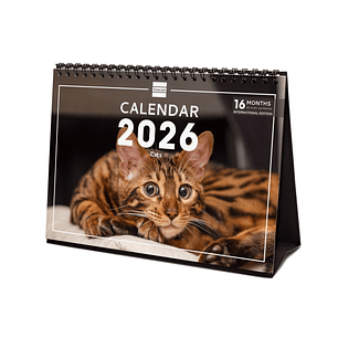 Finocam Calendario de Sobremesa Internacional - Anual 2026 - Imagenes Variadas - 210x70x155mm - Tematica de Gatos