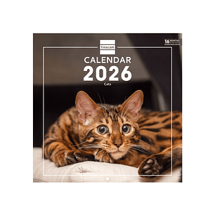 Finocam Calendario de Pared Internacional - Anual 2026 - Imagenes Variadas - 311x5x305mm - Tematica de Gatos