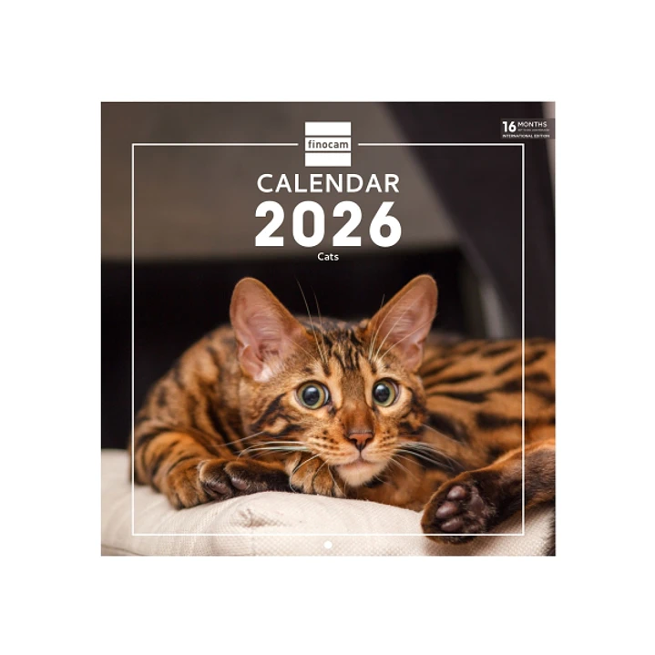 Finocam Calendario de Pared Internacional - Anual 2026 - Imagenes Variadas - 311x5x305mm - Tematica de Gatos 1