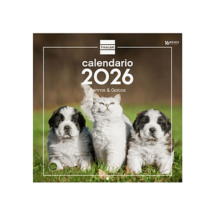 Finocam Calendario de Pared - Anual 2026 - Imagenes Variadas - 300x300mm - Espacio para Escribir - Tematica de Perros y Gatos