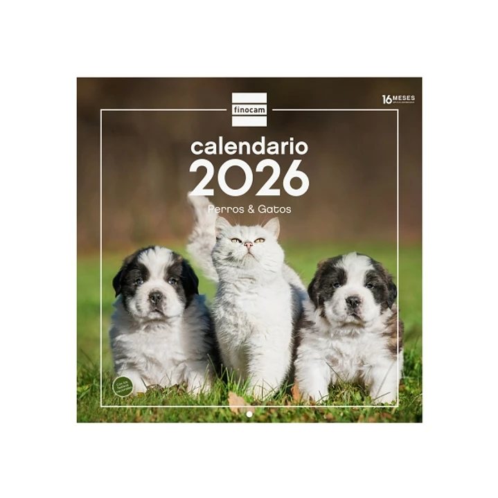 Finocam Calendario de Pared - Anual 2026 - Imagenes Variadas - 300x300mm - Espacio para Escribir - Tematica de Perros y Gatos 1