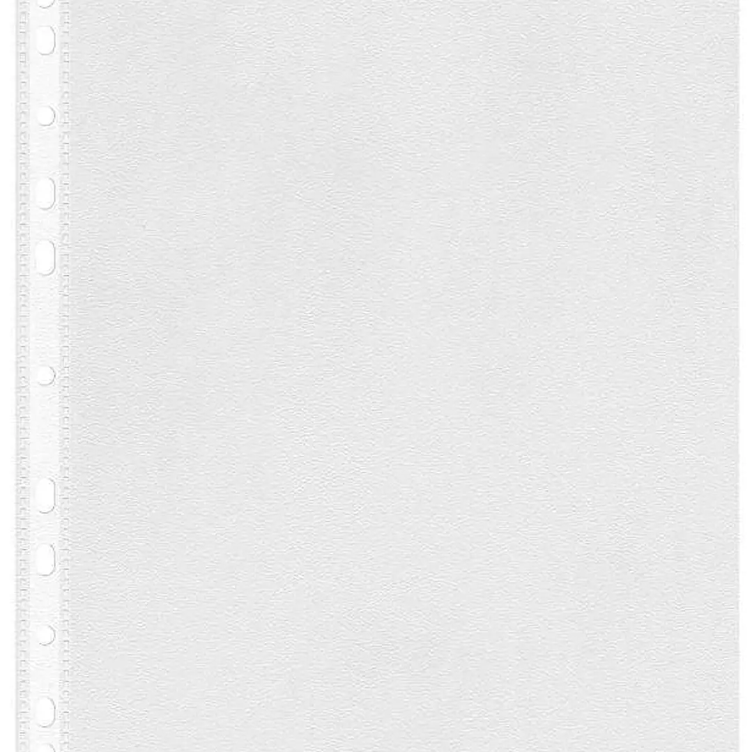 Esselte Pack de 100 Fundas Multitaladro A4 0,07mm - Abertura Superior - 11 Taladros - Acabado Rugoso Transparente 1