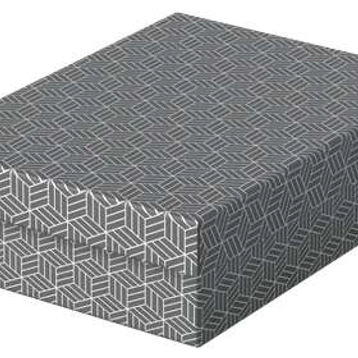 Esselte Pack de 3 Cajas Medianas de Almacenamiento con Tapa 265x100x360mm - Carton 100% Reciclado y Reciclable - Diseño Gris con Dibujo 1