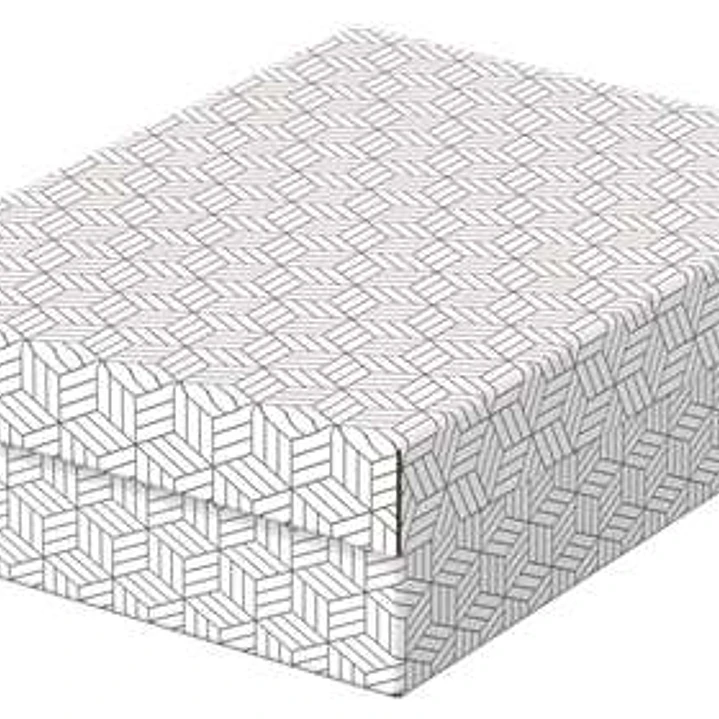 Esselte Pack de 3 Cajas Medianas de Almacenamiento con Tapa 265x100x360mm - Carton 100% Reciclado y Reciclable - Diseño Blanco con Dibujo 1