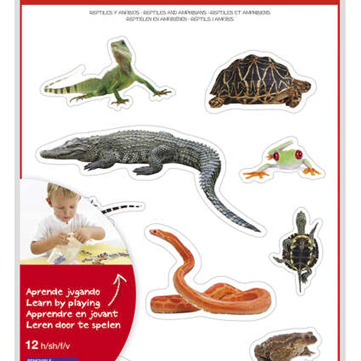 Apli Gomets Tematicos Realistas de Reptiles y Anfibios - 120 Gomets - Imagenes Realistas para Relacionar Animales - Adhesivo Removible - Ideal para Es 1
