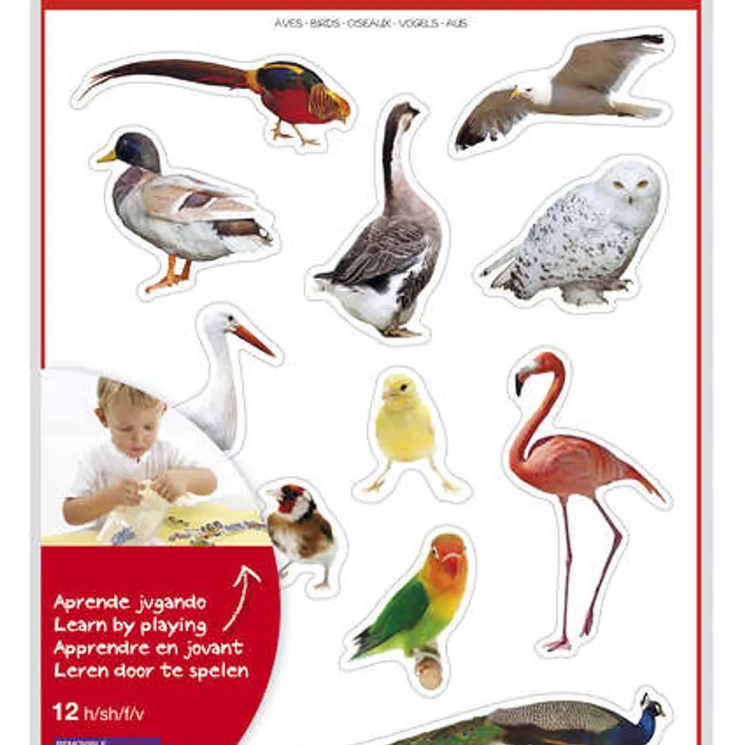 Apli Gomets Tematicos Realistas de Aves - 144 Gomets en 12 Hojas - Imagenes Realistas para Relacionar Aves - Desarrolla Habilidades Motoras - Adhesivo 1