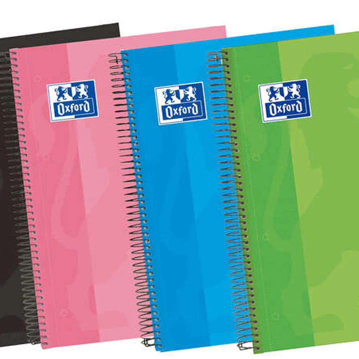 Oxford School Classic A4+ Europeanbook - Tapa Extradura - 4 Multidisciplinas - Pautado y 5x5 - 100 Hojas Surtido 1