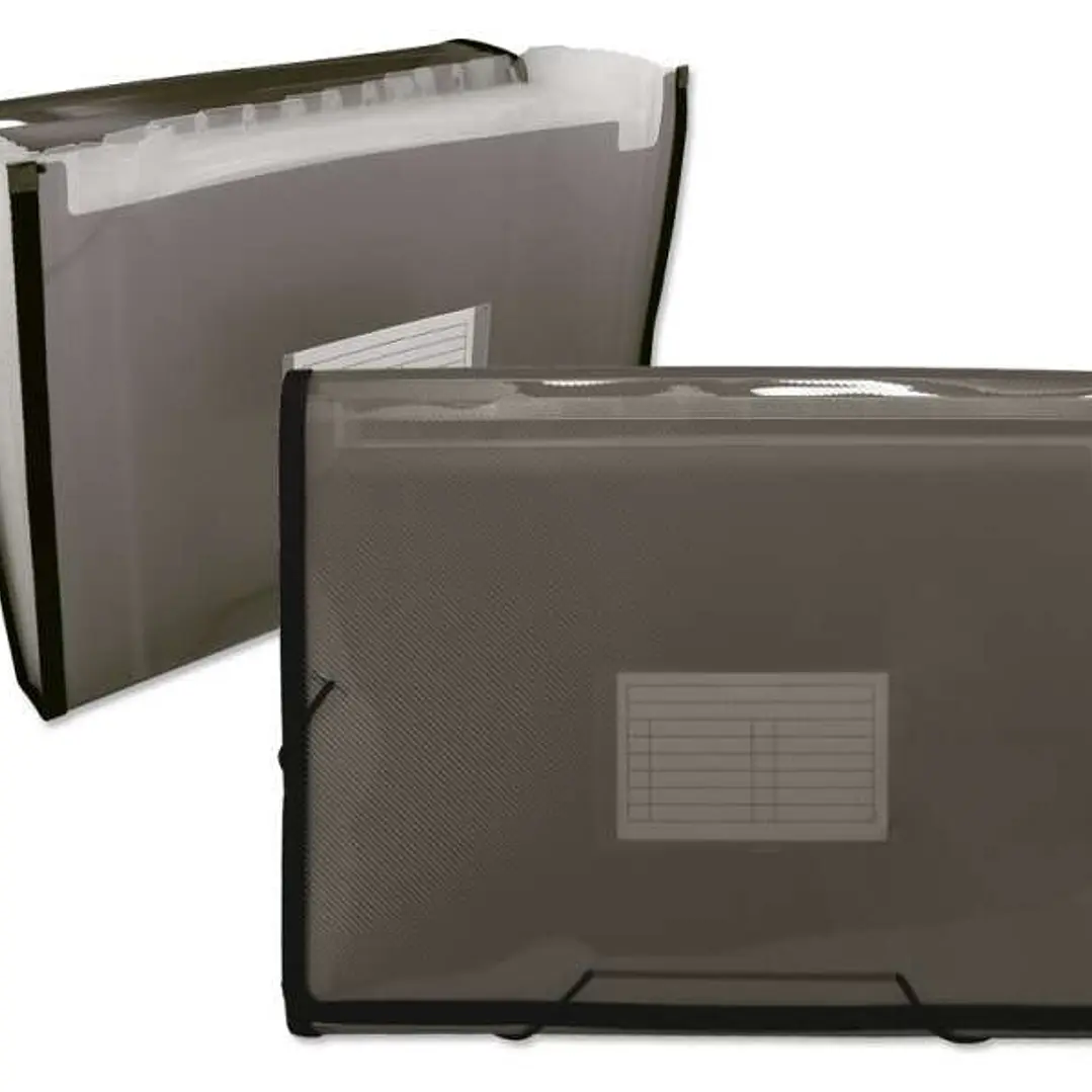 Ingraf Carpeta Frame Fuelle 13 Departamentos Tamaño A4 - Polipropileno Translucido - Gomas y Solapas - Color Gris 1