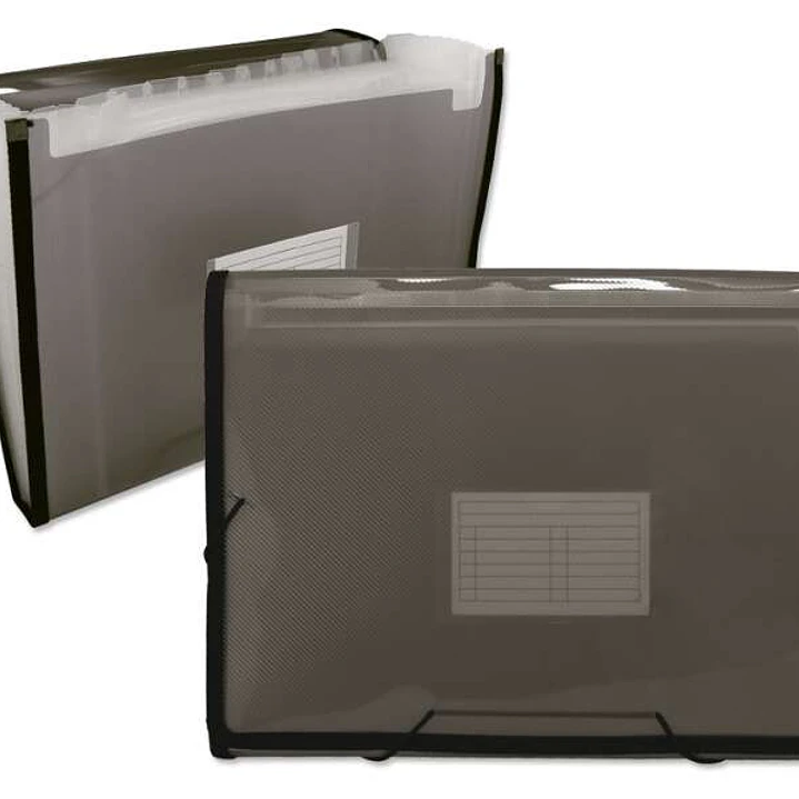 Ingraf Carpeta Frame Fuelle 13 Departamentos Tamaño A4 - Polipropileno Translucido - Gomas y Solapas - Color Gris 1