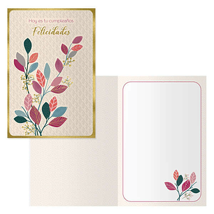 Dohe Pack de 6 Tarjetas de Felicitacion de Cumpleaños - 11.5x17cm - Impresion a Todo Color - Estampaciones con Pelicula de Color - Estampacion en Seco